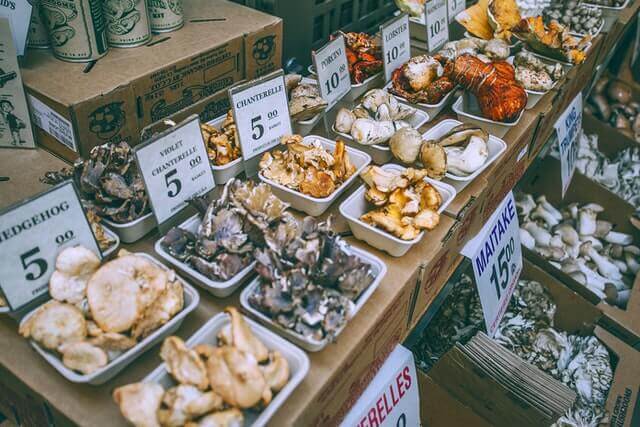 different types of mushrooms in the stores