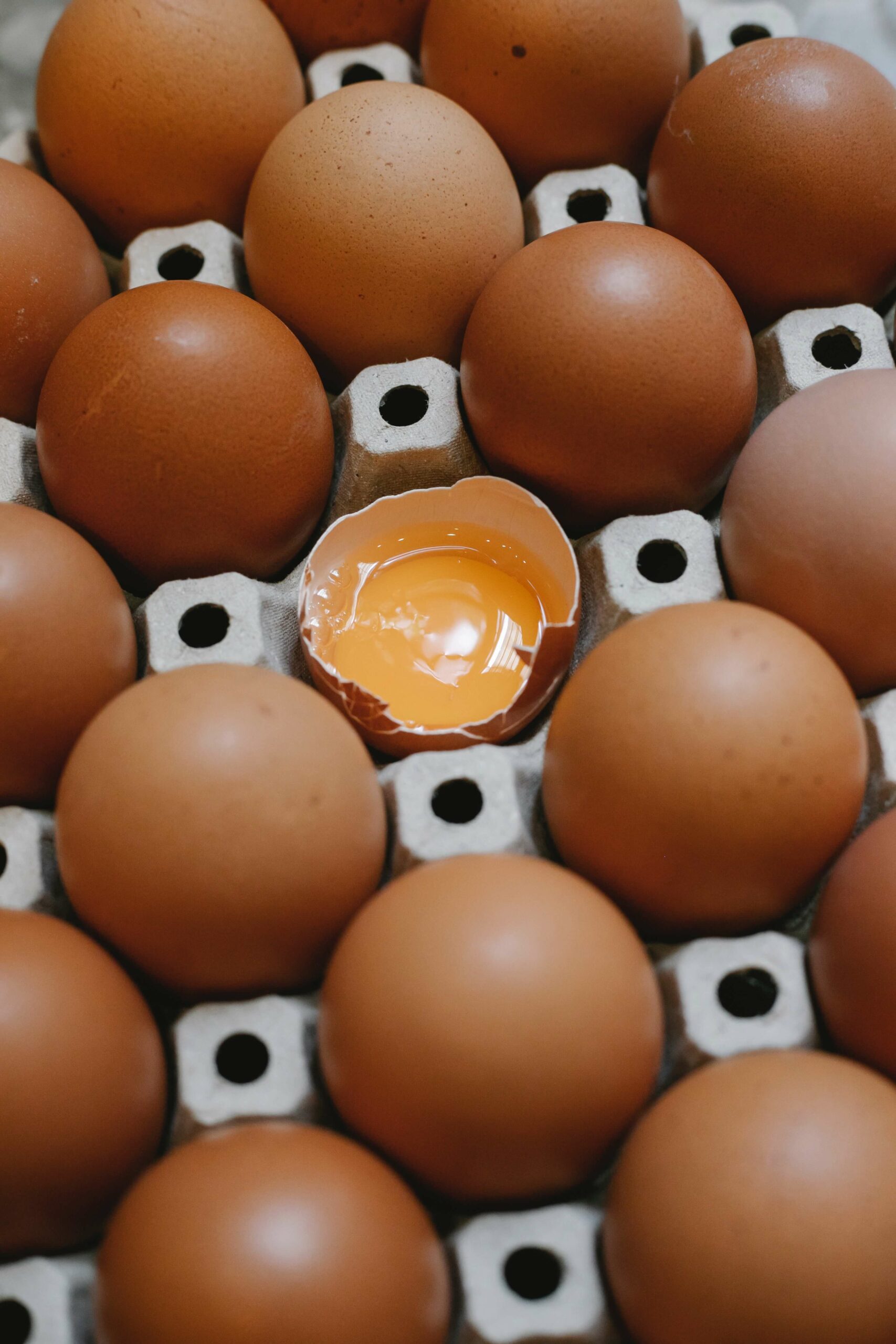 dark chocolate brown egg color image