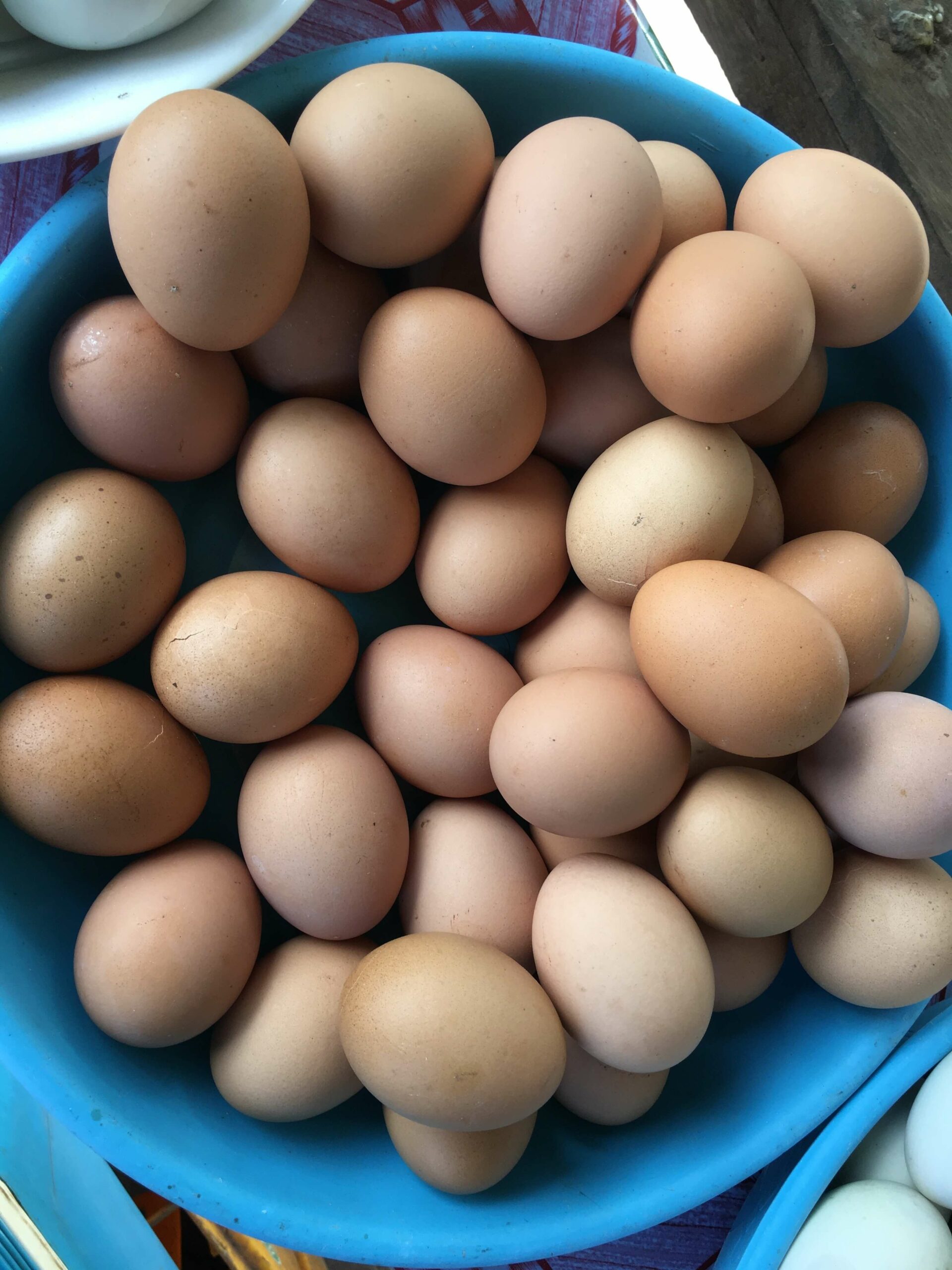 many light brown color eggs in a tray